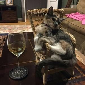 Meet your Posher, Orlando